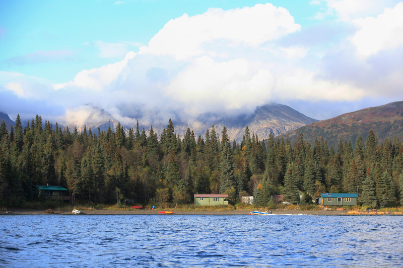 The University of Washington’s Fisheries Research Institute camp on the shores of Lake Nerka, where Schindler has been researching salmon for the past 20 years. Photo credit: Duncan Sullivan